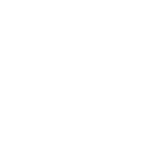 Zenga Logo